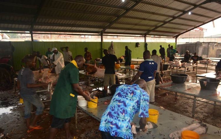 Food Safety: Lagos Abbatoirs Have No Working Hygiene Management System