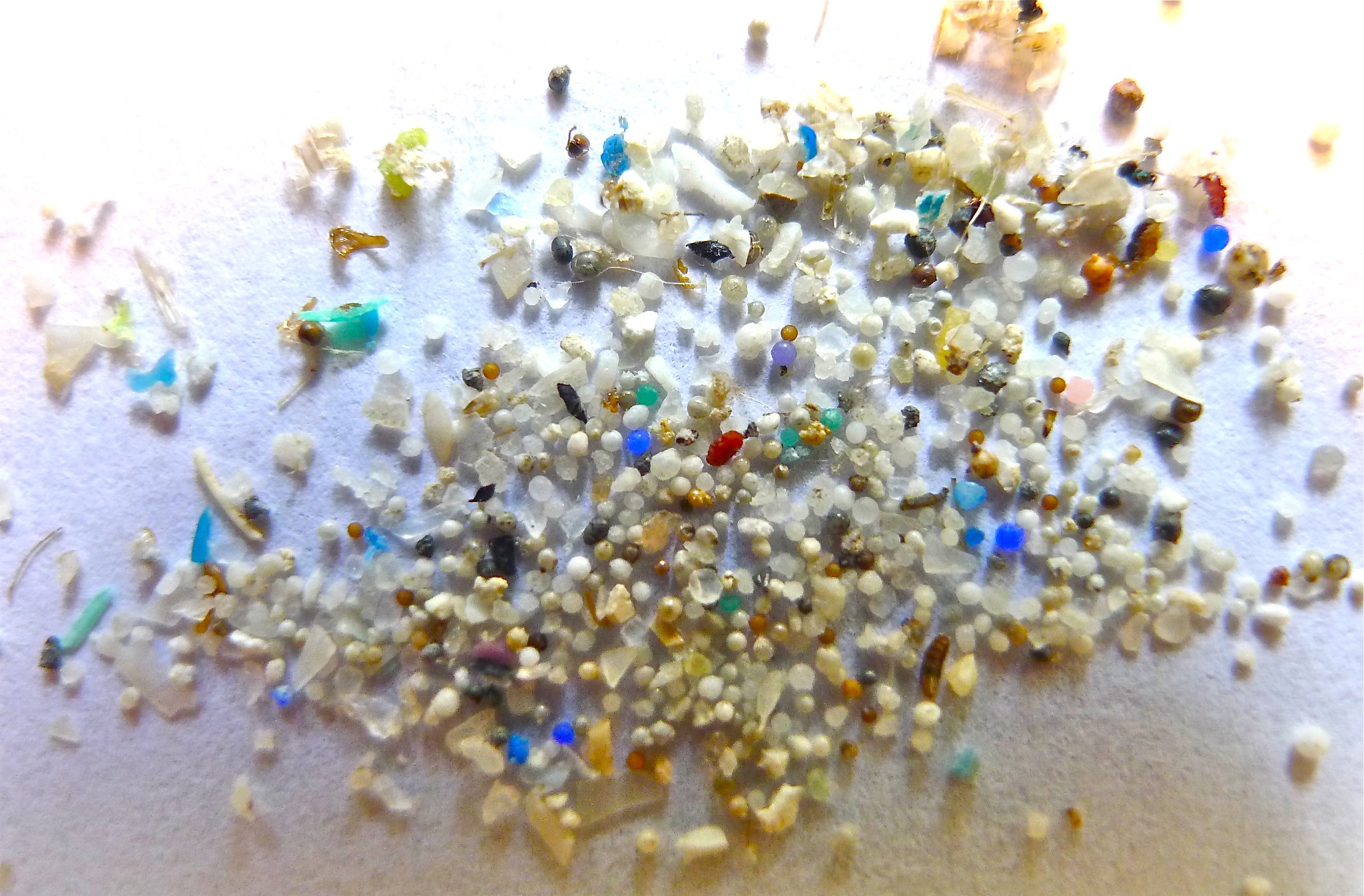 microplastics - WHO - UNEP