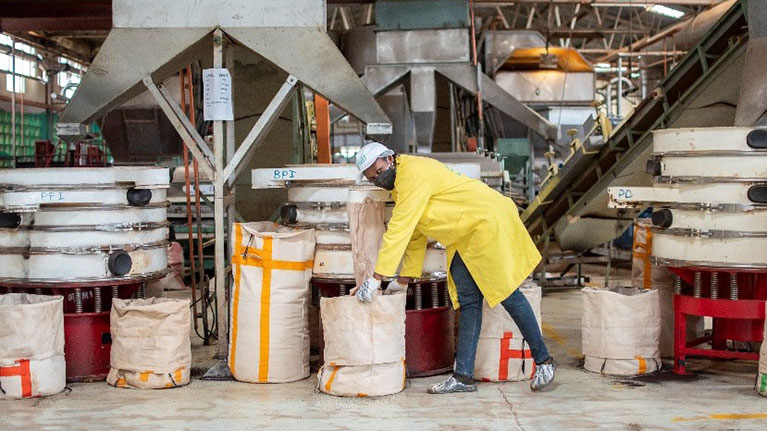 Farm Workers' Safety