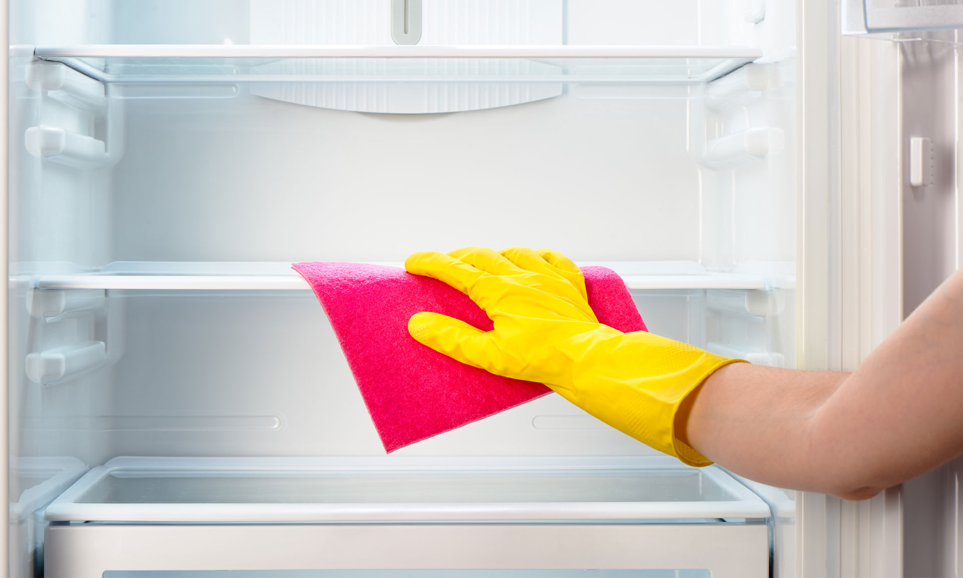 Clean Your Refrigerator