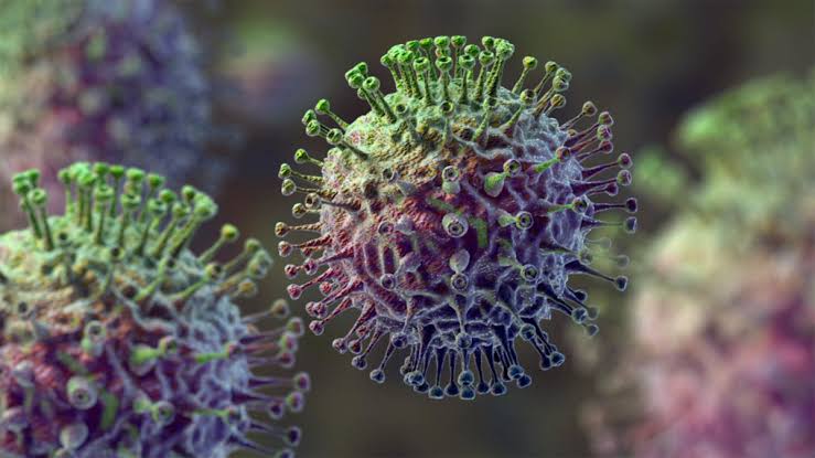  Another Deadly Virus Hits Americans Leaving Over 15 Million People Infected