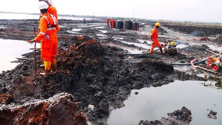 ogoni land clean up