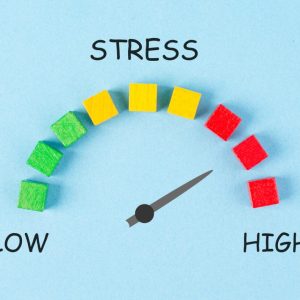 The 10-Minute Nature Fix That Slashes Stress Hormones by 25%