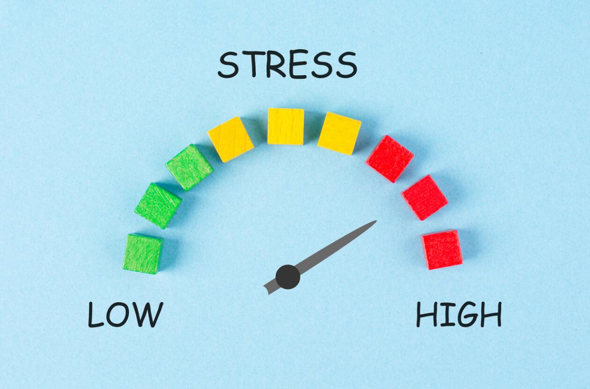 The 10-Minute Nature Fix That Slashes Stress Hormones by 25%