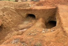 37 Dead in Plateau Mine as FG Orders Closure37 Dead in Plateau Mine as FG Orders Closure